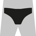 INNER BRIEF